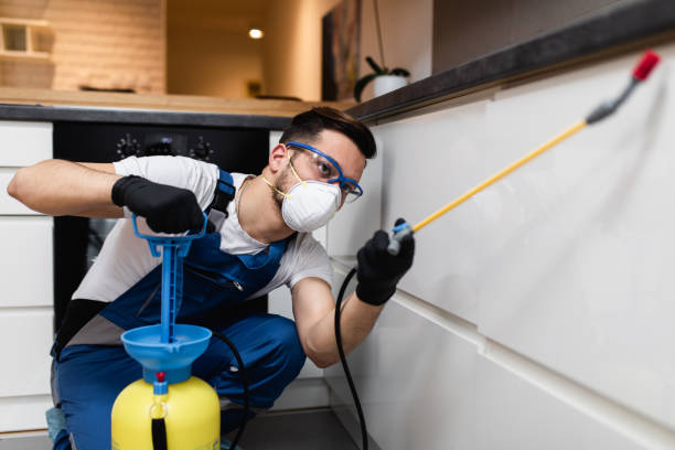 Best Insect Control  in San Miguel, CA