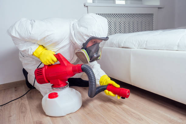 Best Local Pest Control Services  in San Miguel, CA