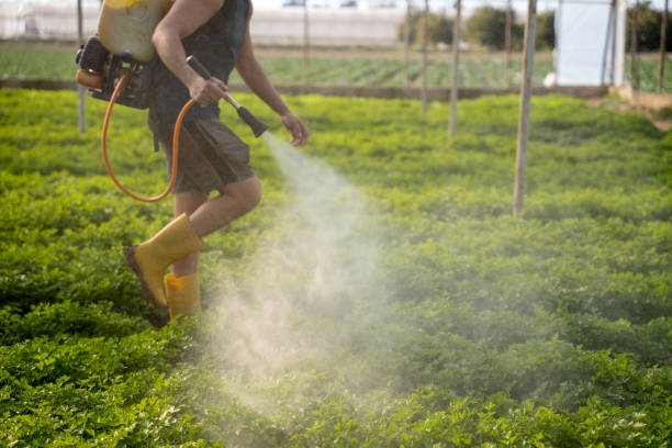 Best Pest Control Near Me  in San Miguel, CA