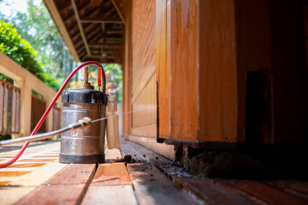 Best Ant Control Services  in San Miguel, CA