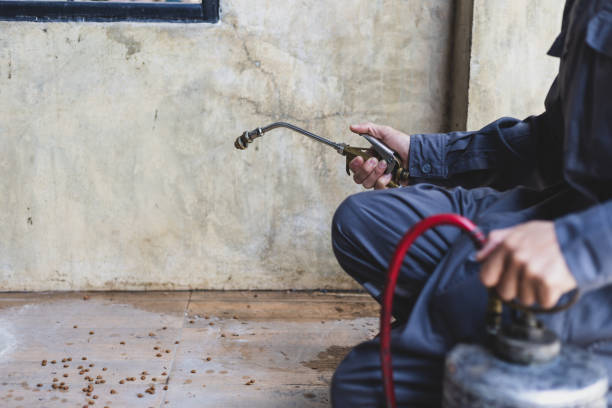 Best Pest Removal Services  in San Miguel, CA